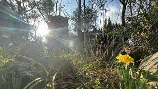 86 Shidoji Temple Song