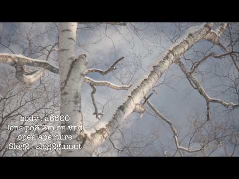 (cinelens)po3-3m test movie(ro3-3m)