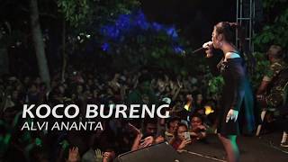 Download lagu TERBARU ''KOCO BURENG'' ALVI ANANTA mp3 Download lagu TERBARU ''KOCO BURENG'' ALVI ANANTA mp3