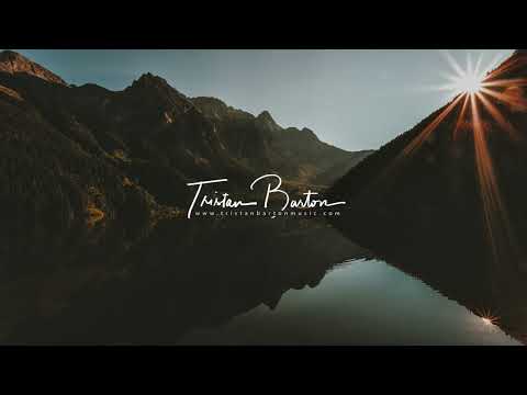 Genesis - Tristan Barton