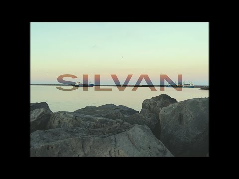Silvan - Ilha [Dir. By @sales.miguel_]