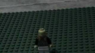 preview picture of video 'Lego atropellado por vehículo'