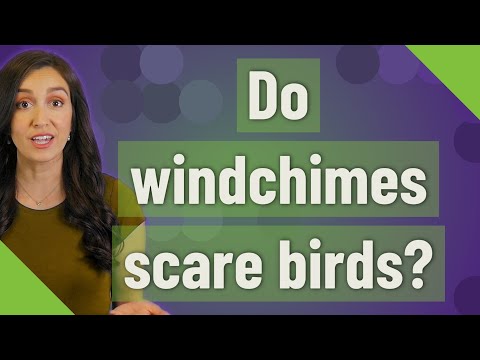 YouTube video about: Will windchimes keep birds away?