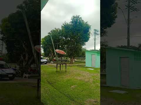 uma ótima quinta feira a todos diretamente do município de anamã Amazonas