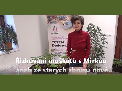 , title : 'Řízkování muškátů s Mirkou aneb ze starých zbrusu nové'