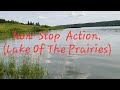 Video Thumbnail for Non-Stop Action.(Lake Of The Prairies)