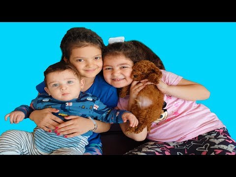 Masal, Öykü playing Hide and Seek with little baby and little dog