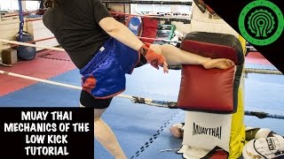 Mechanics of the Low Kick