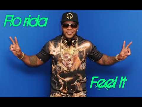 Flo rida feat. Pittbull,Sean Paul, T-Pain u. Dj Felli fel: Feel It