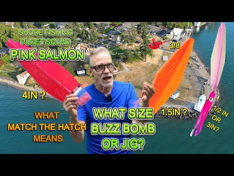 Shore Fishing Pink Salmon, What size Buzz Bomb, jig, hooks with Hoochie for Pink Salmon #fishing