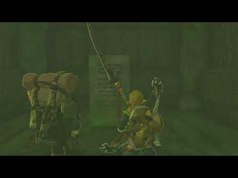 The Legend of Zelda Tears of the Kingdom | Investigate the Thyphlo Ruins quest