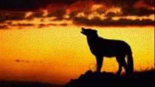 THE MOAN - The Black Keys - [ homemade video ].wmv