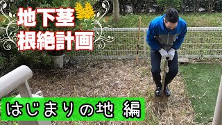 【荒れた庭】地下茎と筋肉 勝つのはどっちなんだい！【ガーデニング】【雑草】