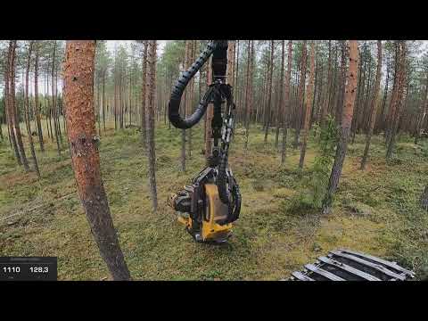 Mukavaa mänty harvennusta ja annetaanhan vielä AC:lle  mahdollisuus. Ponsse Scorpion K H7 AC FC