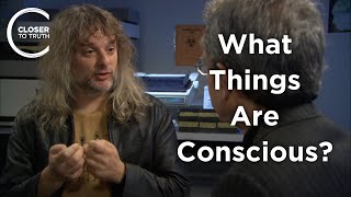 David Chalmers - What Things are Conscious?