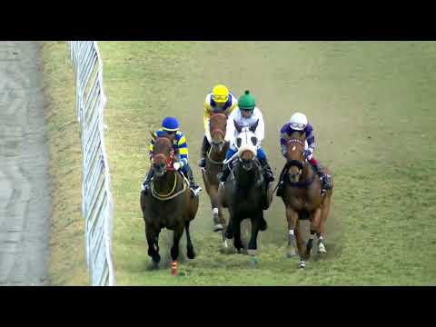 31eme journée - Race 6 - Emblem Of Hope