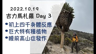 [遊記] 2022.10非洲屋脊吉力馬札羅全紀錄 Day3