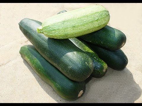 НОВОЕ БЛЮДО ИЗ МОЛОДЫХ КАБАЧКОВ. ОБАЛДЕННАЯ БОМБА, ВКУСНОТИЩА, МОЯ СЕМЬЯ ИХ ОБОЖАЕТ