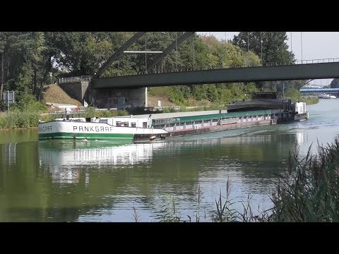 MS Pankgraf  04012520