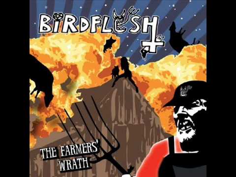 Birdflesh   Download death