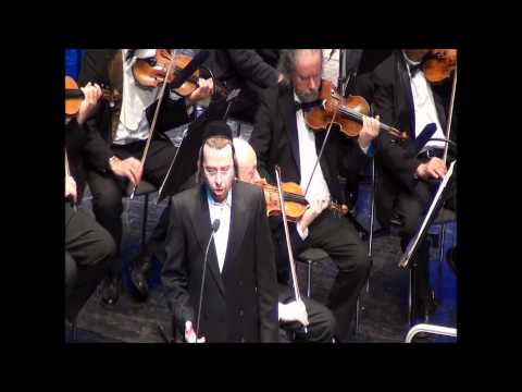 Cantor Yaakov Yosef Stark Sings R'etze