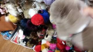 Speak Louder | Spoken Word