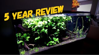 Fluval Flex 32 gallon 5 Year Update & Touch Up