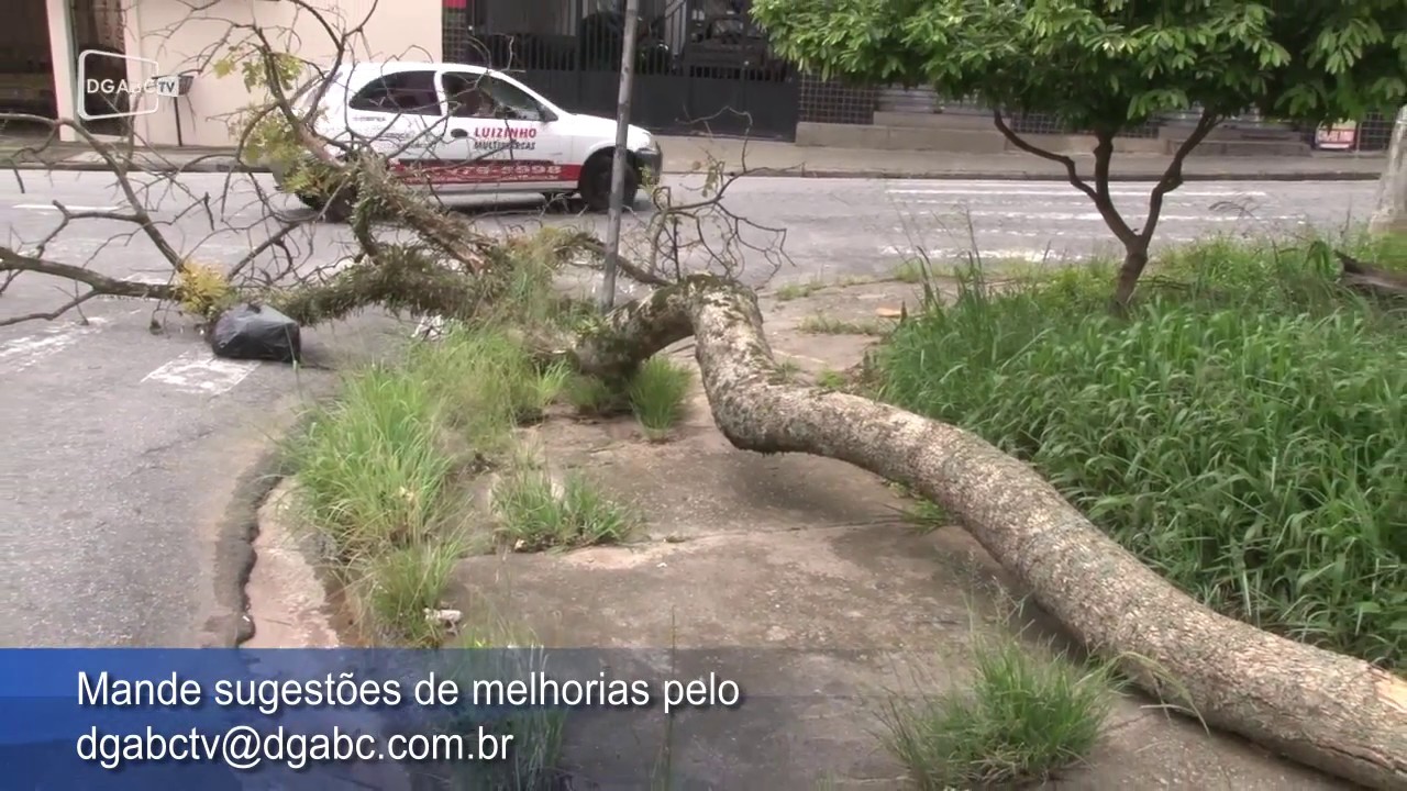 Moradores cobram manutenção de praça na Vila Eldizia;