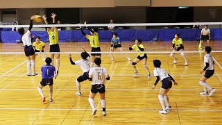 【2025国スポ近畿・女子】和歌山vs大阪　第２セット＜女子バレーボール＞
