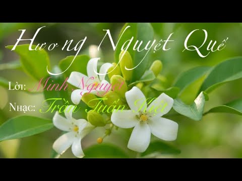 Thể hiện bởi Minh Nguyệt