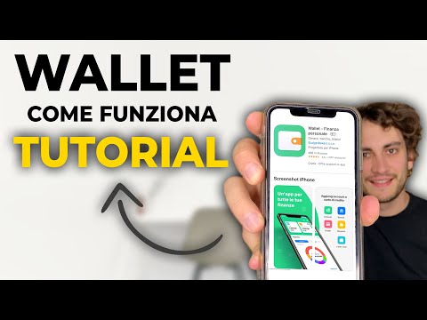 PERSONAL FINANCE TUTORIAL | How WALLET by BUDGETBAKERS Works