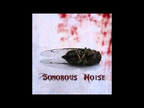 Sonorous Noise - Voodoo