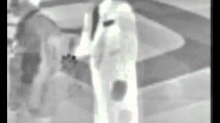 pennywise - surfin usa