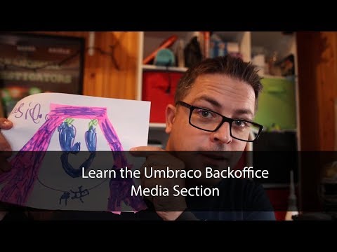 How to manage media in Umbraco