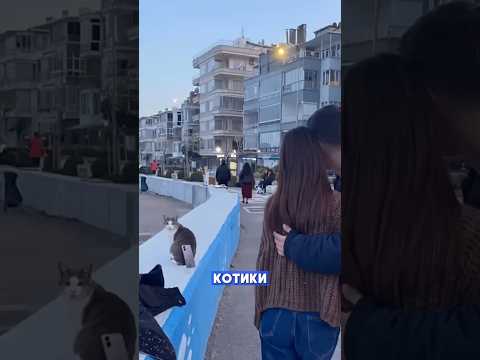 Хвостатый штатив за сосиску