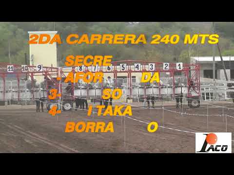 PAYASO HIPODROMO DON SOHAR CRUZ DEL EJE 28 08 2022