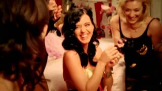 Katy Perry - Girls Just Want To Have Fun (Fan Video)