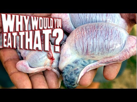 Bull Testicles aka Rocky Mountain Oysters - Why Would You Eat That?