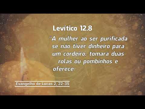 Evangelho de 29 de dezembro