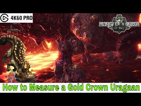 Monster Hunter: World - How to Measure a Gold Crown Uragaan Video