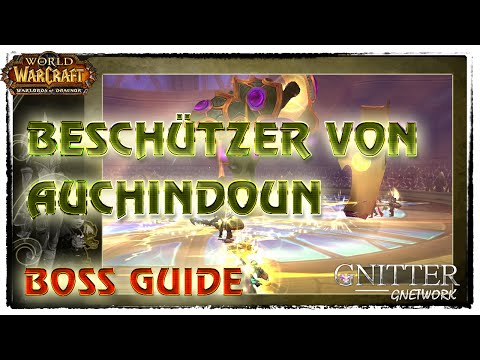 Beschützer von Auchindoun - Auchindoun Guide