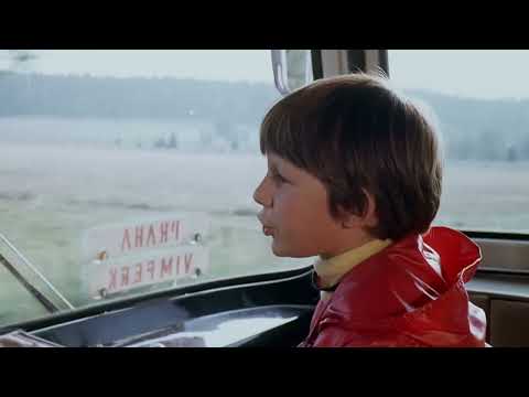 pod jezevčí skálou-na pytlácké stezce-za trnkovým keřem