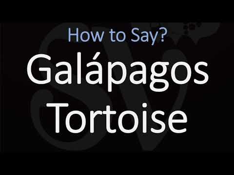How to Pronounce Galápagos Tortoise? (CORRECTLY)