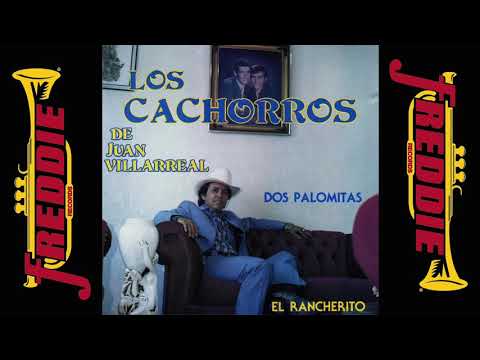 download lagu mp3 mp4 Sabor De Gracia Discografia, download mp3 Sabor De Gracia Discografia free downloadn, video klip Sabor De Gracia Discografia