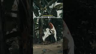 Download lagu Wow 😮kata-kata orang madura#shortsviral#maduravoyal mp3