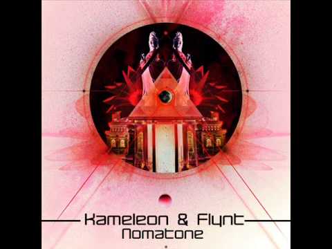 Kameleon & Flynt   Nomatone   Pure Perception Records
