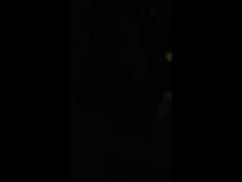 DUBAHOLIC PLAYS DAIRYDUB MEETS ECHO ROOTS @ RUM N BASS