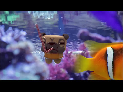 EBS 캐니멀 시즌2