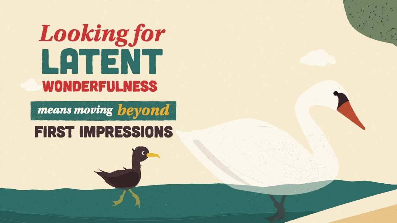 Designing Your Career: The Offer Search