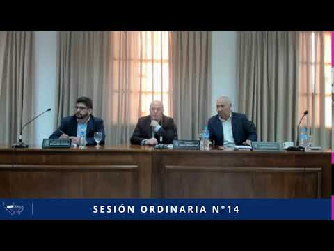 SESIÓN ORDINARIA N° 14